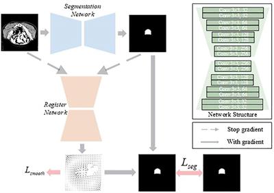 Clinical target volume and organs at risk segmentation for rectal cancer radiotherapy using the Flex U-Net network